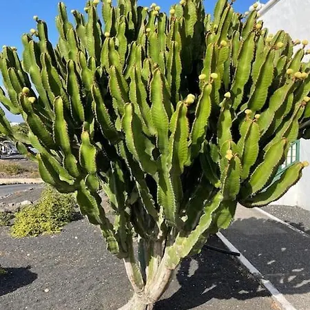 Amura En Playa De Cucharas شقة